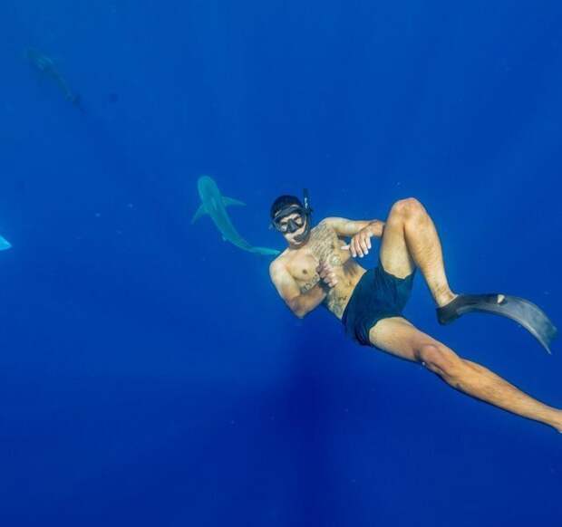 20. «Опять акула фотку испортила!» боязнь, в мире, вода, красота, талассофобия, фото