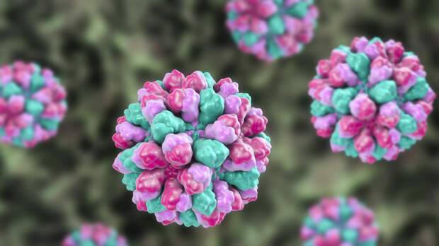 Вирусолог Альтштейн описал симптомы норовируса