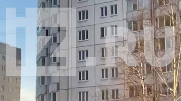 Громко заплакал: появились кадры падения ребенка с десятого этажа в Петербурге