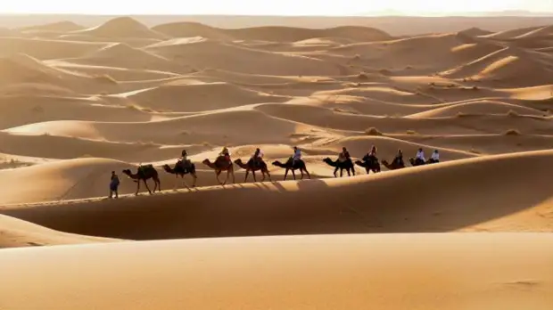 Когда образовалась пустыня Сахара?