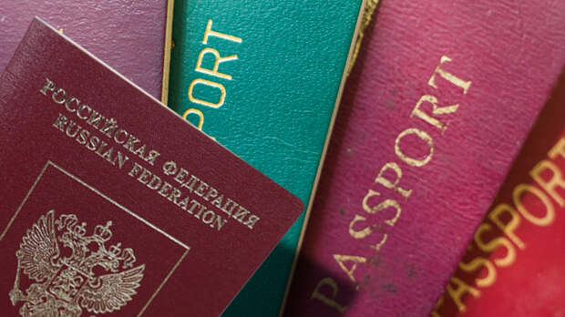 От Галкина до Познера: кого не удовлетворяет российский паспорт