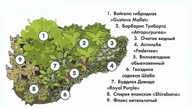 Сад натургарден схемы посадок