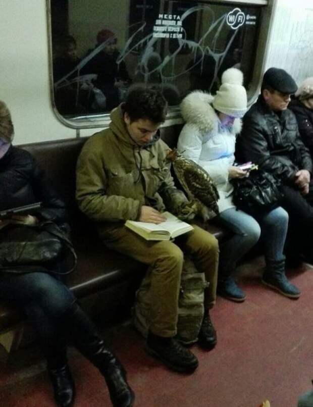 Прикольные картинки, твое хорошее настроение.
