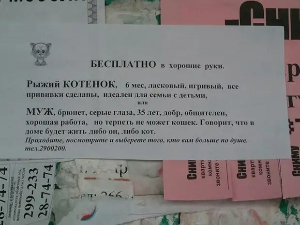 — Как испортить прекрасный советский фильм? — Сделать в наше время продолжение! Когда, могли, живой, чтобы, свекровь, мучаешь, Дарси, красивая, Конечно, дорогая, когда, долго, ребенка, позвонила, однажды, голосом, говорит, больше, который, голос
