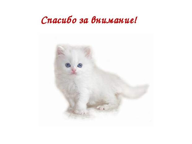 Профессии будущего и кем быть в этом будущем