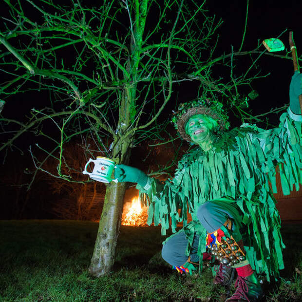 Some revelers dress as the