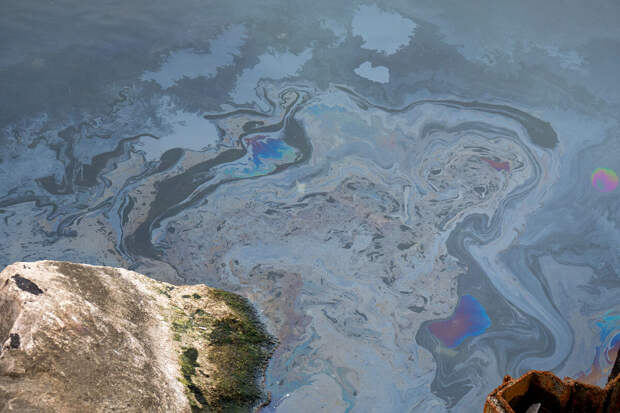 На береговой линии Финского залива нашли локальное скопление нефтепродуктов