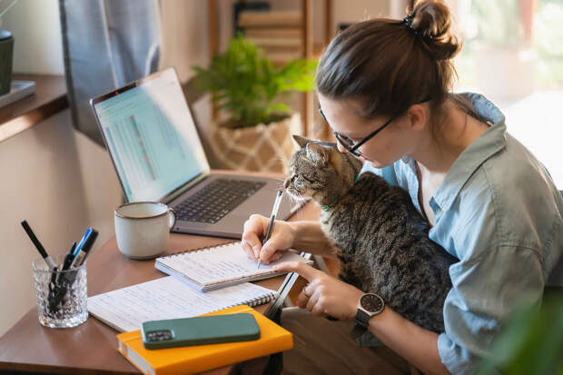 "Известия": в России растет популярность гибридного формата работы