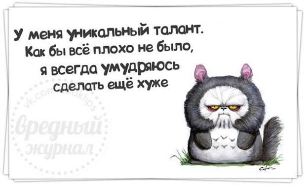 Позитивные фразочки в прикольных картинках