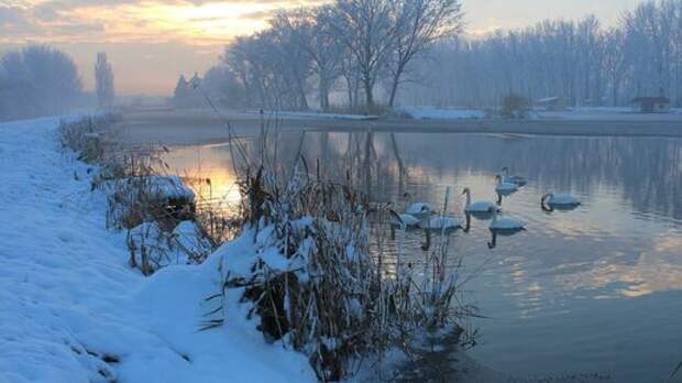 Победители первой зимней фото активности