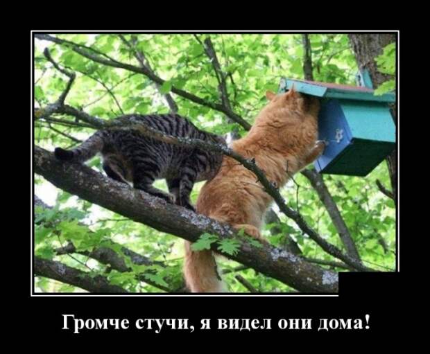 www.vsyako.net