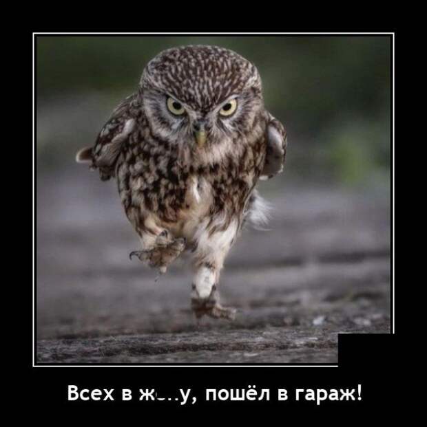Демотиватор про гараж