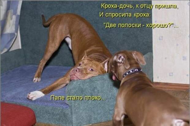 Мысли вслух :)