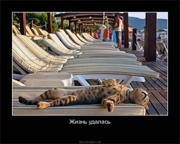 Новые демотиваторы, без улыбки не уйдешь!