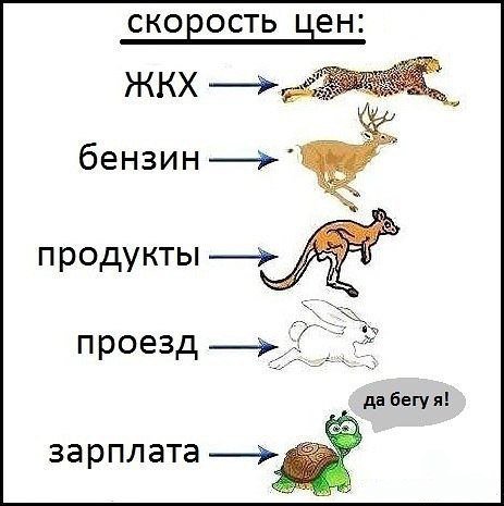 АВТОприколы (27 шт)