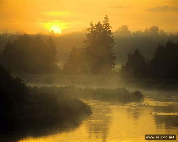 Andris_Eglitis_008 Andris_Eglitis_008