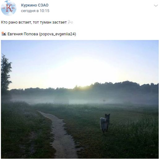 Фото дня: туманное утро