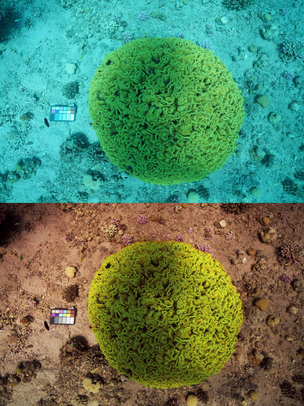 Море без воды