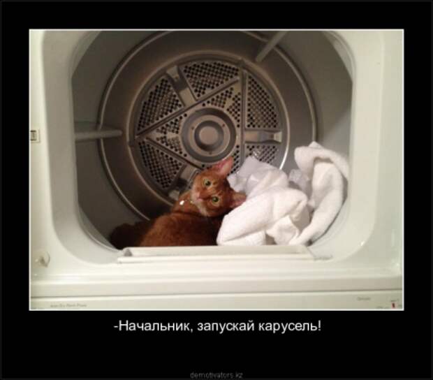 Новые демотиваторы, без улыбки не уйдешь!