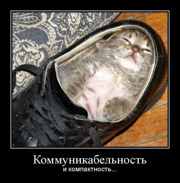 Pro100 Dемотиваторы