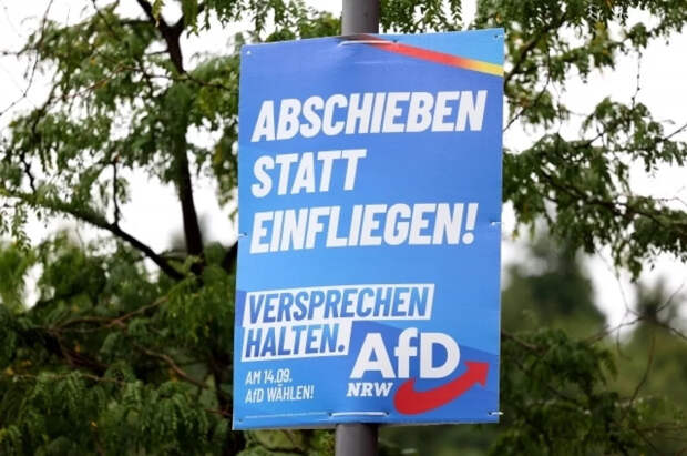 Правая партия АдГ продолжила лидировать по итогам опросов в Германии