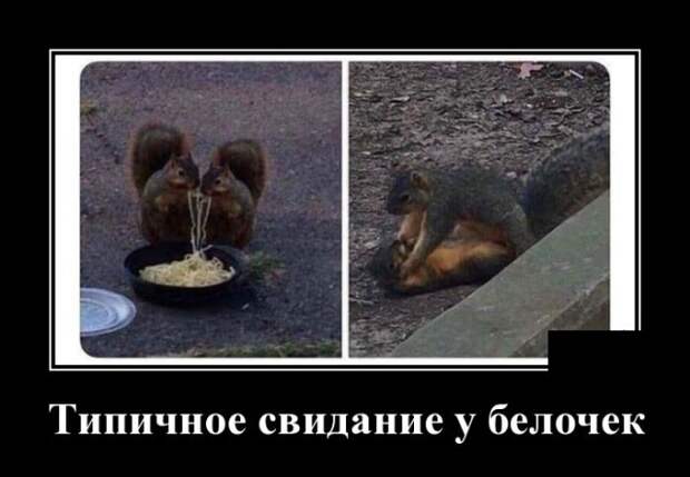 Самые новые демотиваторы  (30 фото)