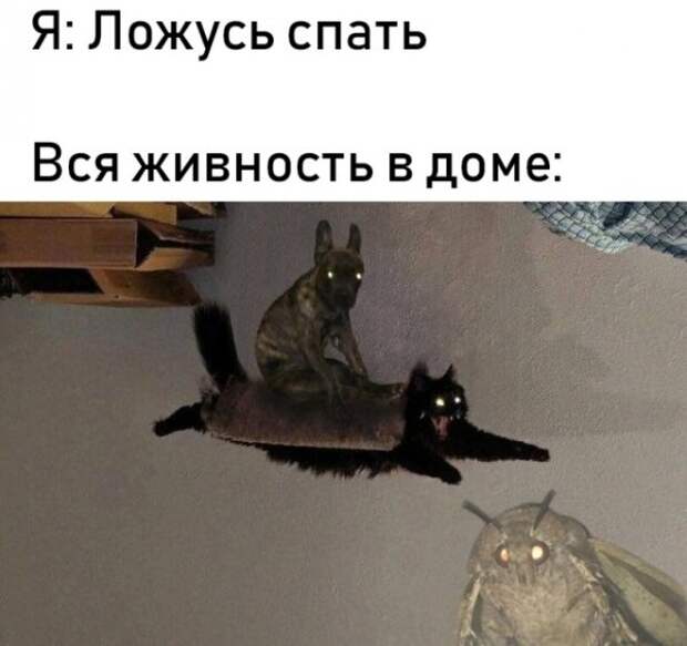 Подборка картинок