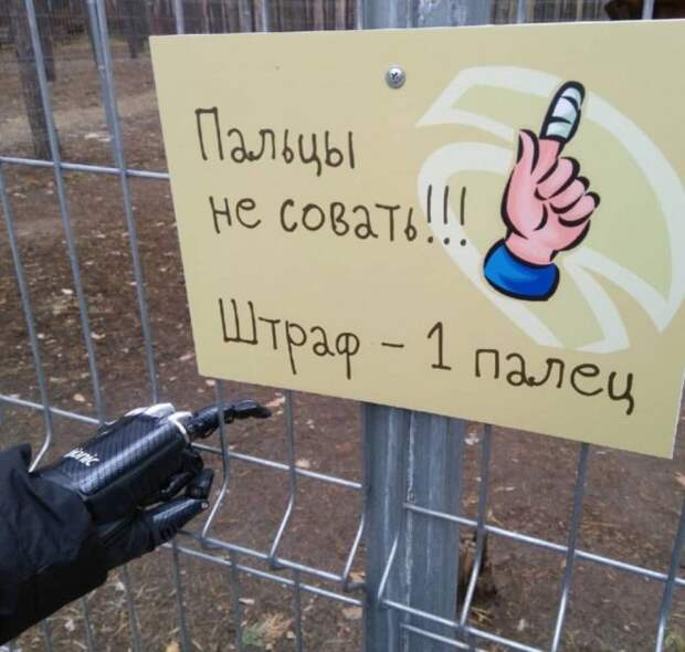 пальцы