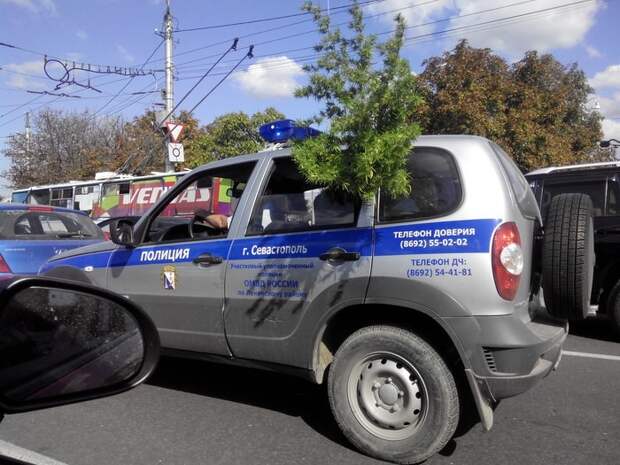 Просто п... полиция неожиданность, полиция, правопорядок, прикол, приколы, стражи порядка, юмор