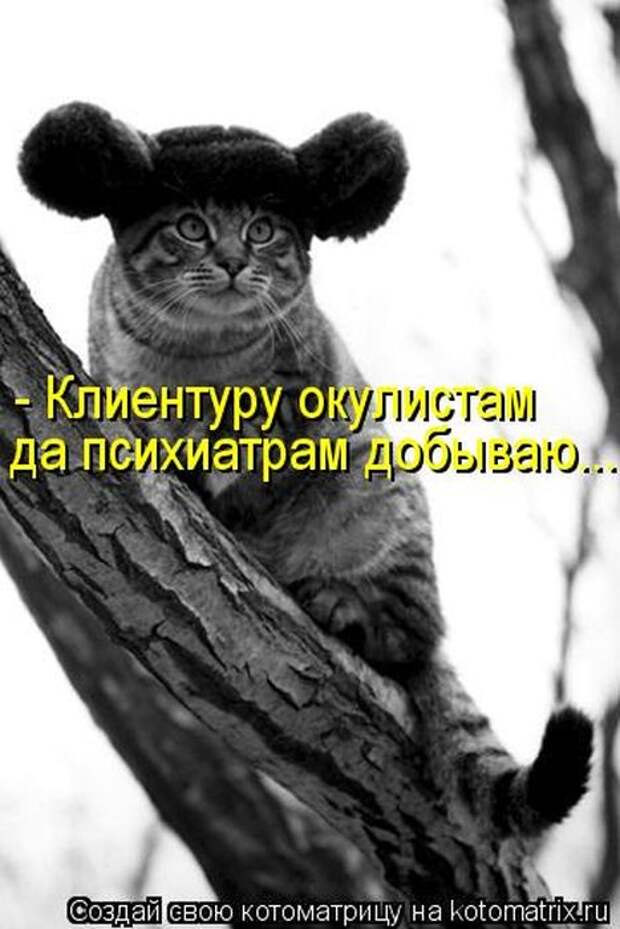 Котоматрицы(картинки с надписями)