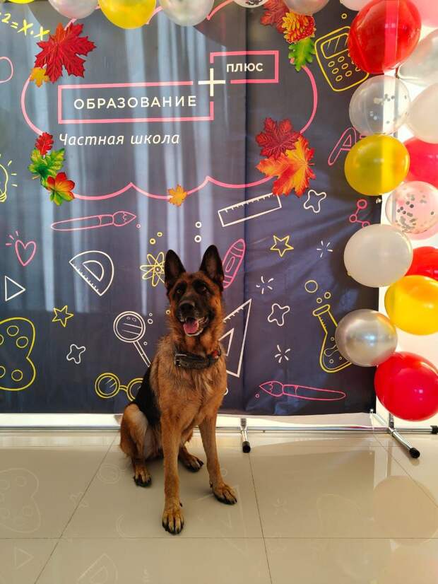 2 сентября: начало года открытий и новых знакомств в школе ОБРАЗОВАНИЕ ПЛЮС КМВ