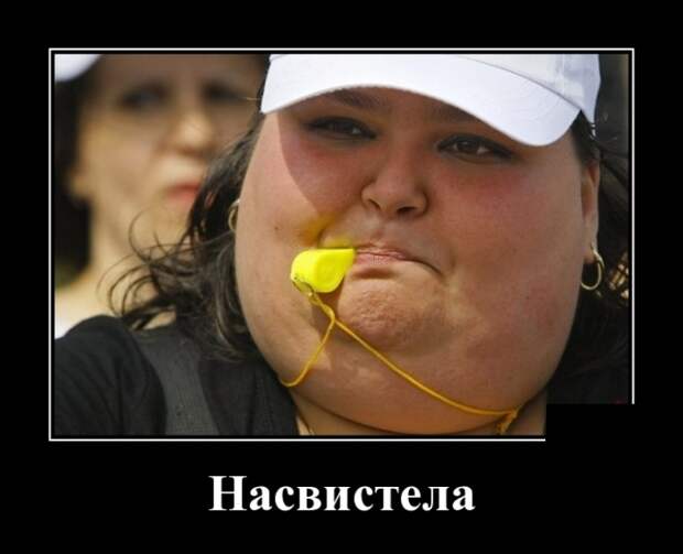 www.vsyako.net