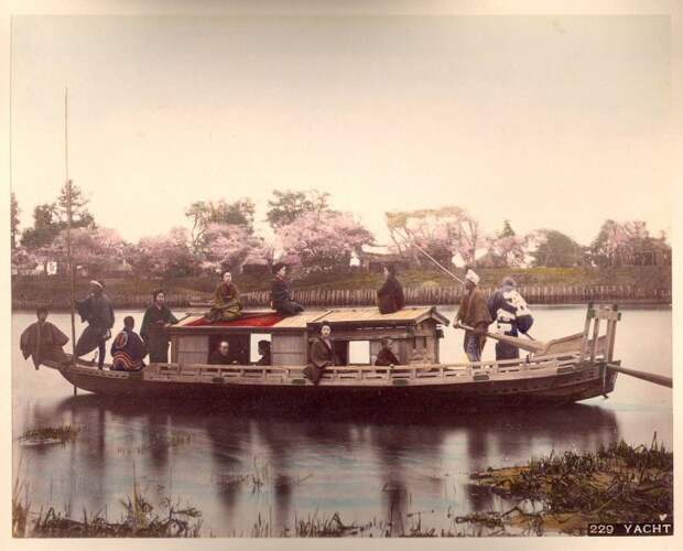 Прогулки по водоему во время цветения сакуры.