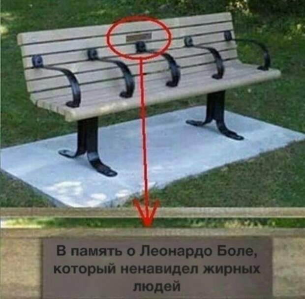 15 очень смешных снимков, которые точно поднимут вам настроение
