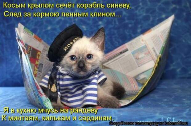 Котоматрицы (картинки с надписями)