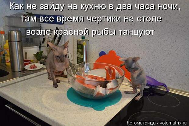 Котоматрица: Как не зайду на кухню в два часа ночи, там все время чертики на столе  возле красной рыбы танцуют
