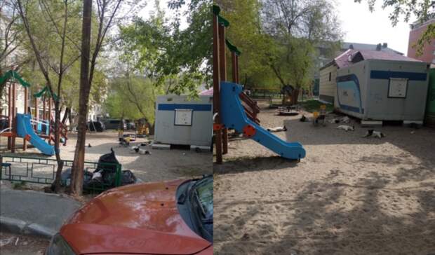 В Тюмени на улице Ватутина стая из 6 собак поселилась на детской площадке