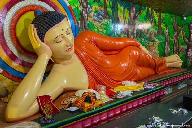 Колыбель буддизма на Шри-Ланке путешествия, факты, фото