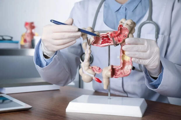 Molecular Ecology: жизнь с другими людьми меняет состав кишечных бактерий