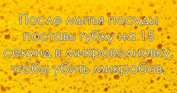 советы для жизни