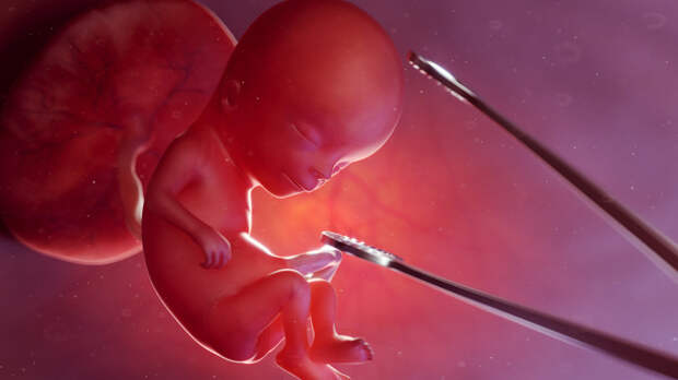 В Курской области все частные клиники отказались от проведения абортов