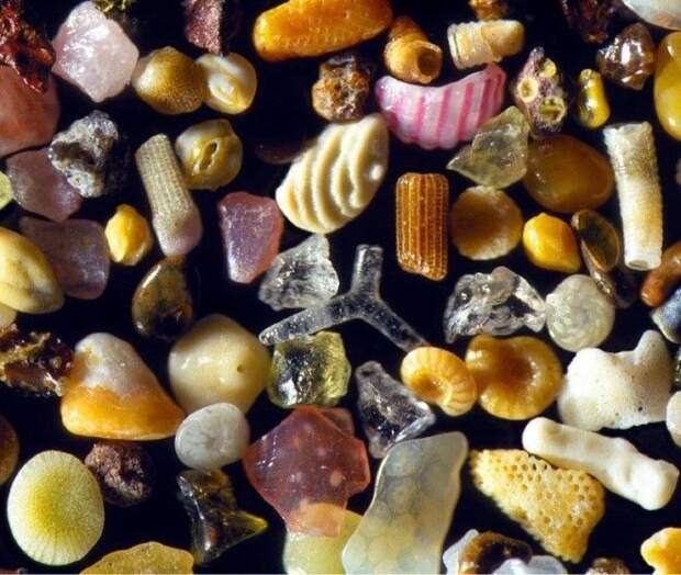 Картинки по запросу морской песок под микроскопом