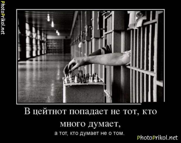 Новые демотиваторы со смыслом (30 картинок)