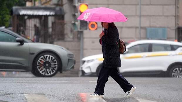 Вильфанд спрогнозировал дождь и грозу в четырех округах РФ в ближайшие дни