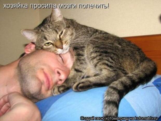 Котоматрицы....самые прикольные