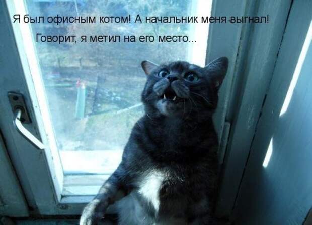 Мысли вслух :)