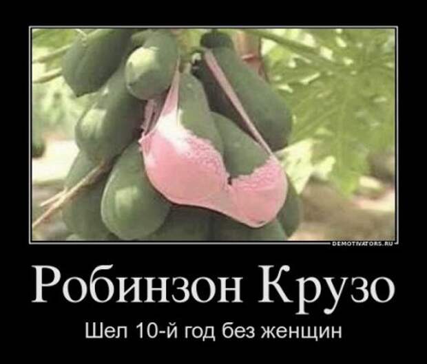 Демотиваторы это не только прикольные картинки но и ржачные фразы.