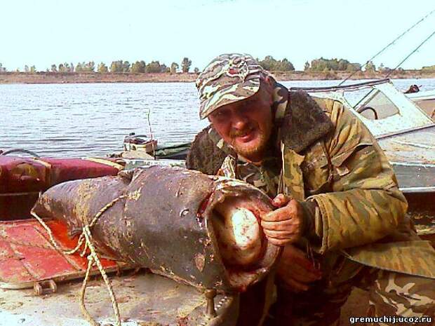 Утро.Сом