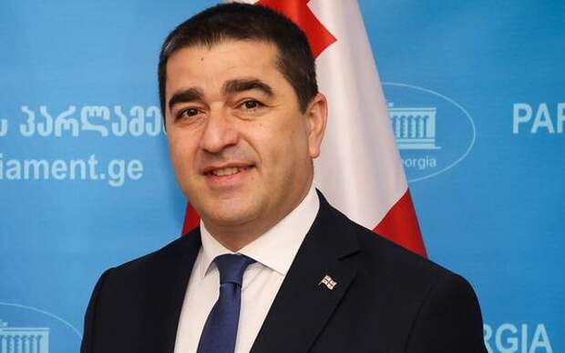 Спикер парламента Грузии Папуашвили: Зеленский — неблагодарный человек