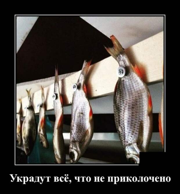 Демотиваторы (30 фото)